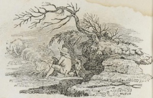 The accompanying illustration by Thomas Bewick.